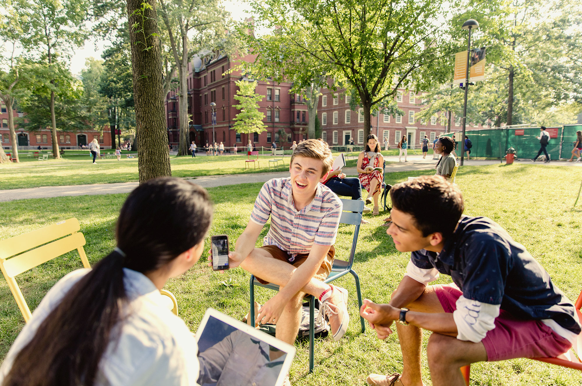 students sitting in chairs in Harvard Yard