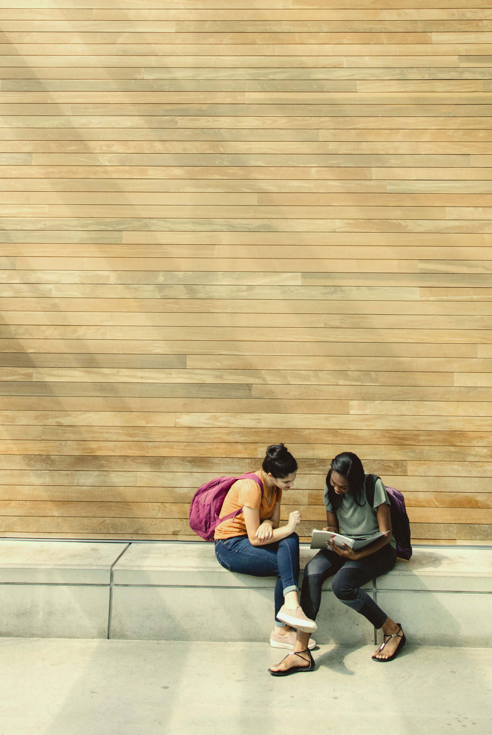 Harvard Summer Programs For High School Students Harvard Summer School