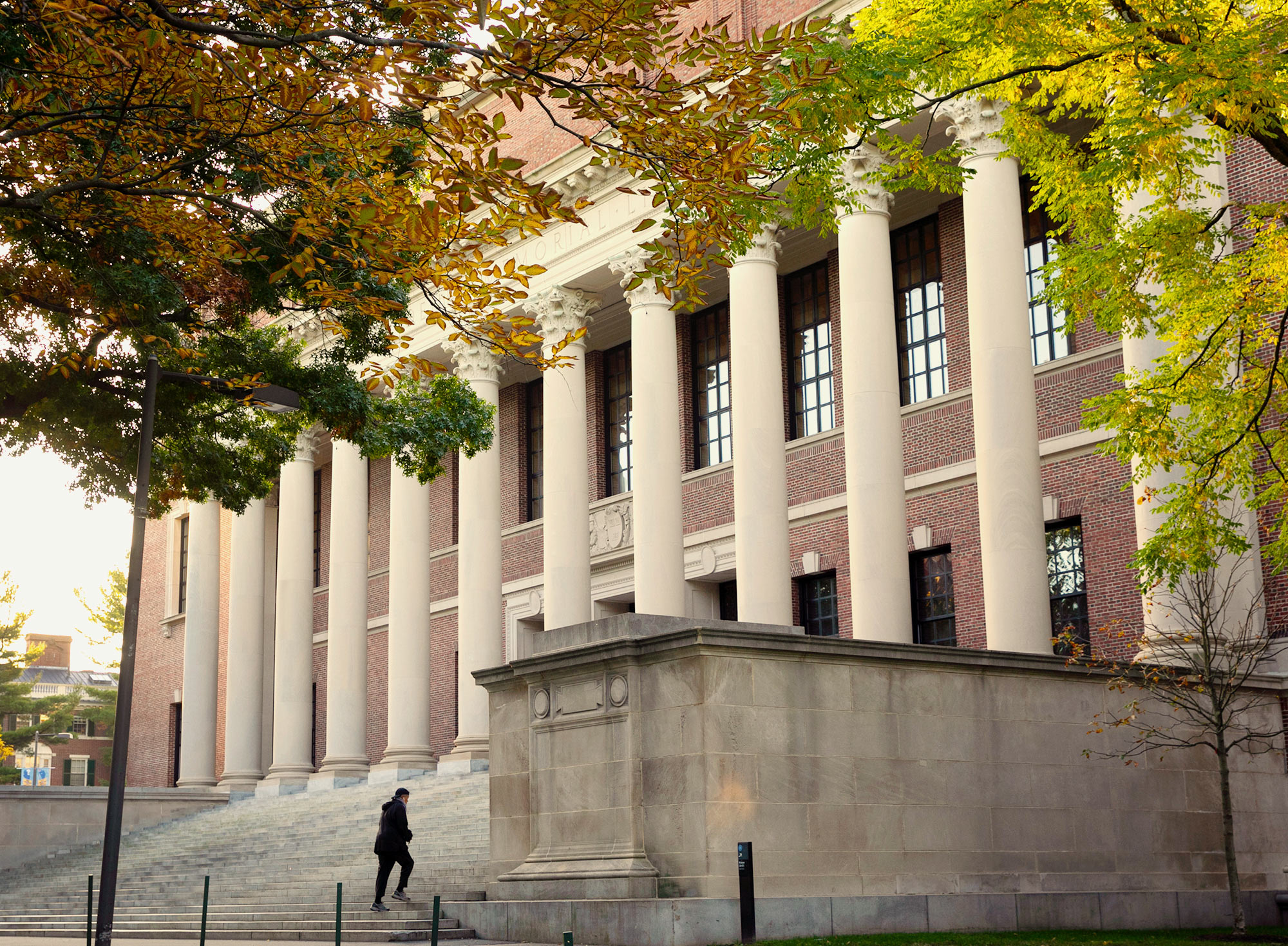 Harvard college