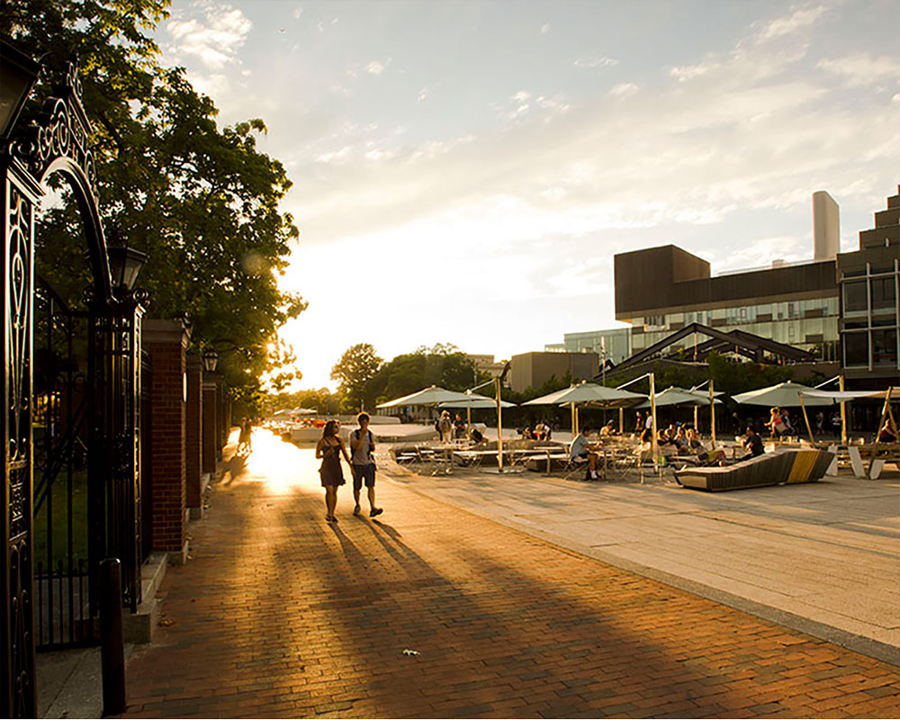 Summer Courses for Adult and College Students | Harvard Summer School