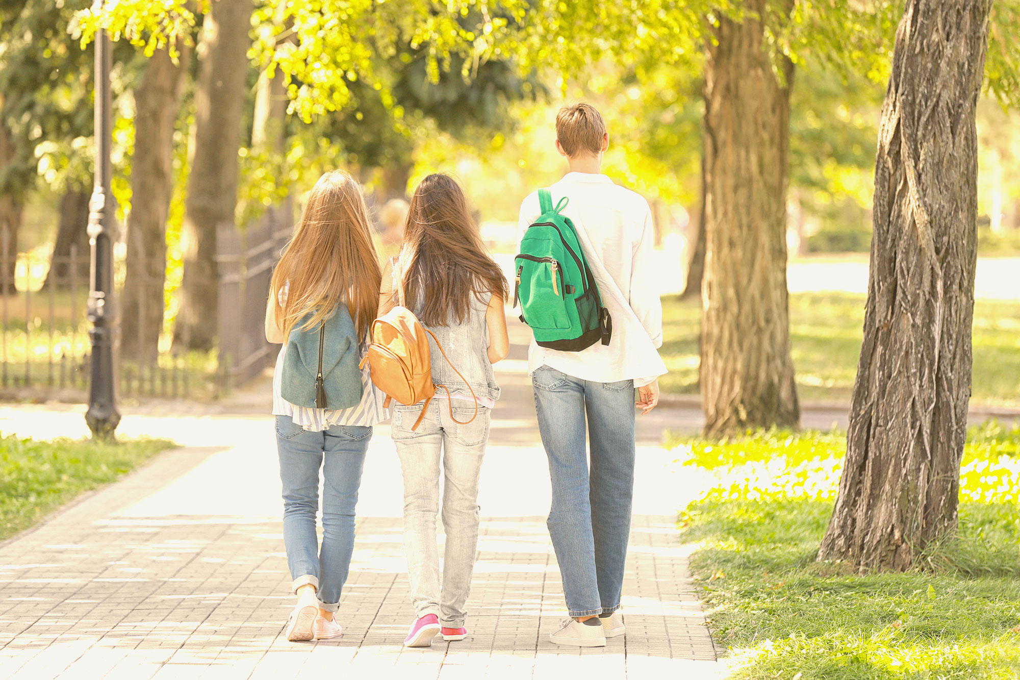 How To Prepare For College In High School Harvard Summer School
