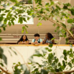 Summer Programs for High School Students | Harvard Summer School